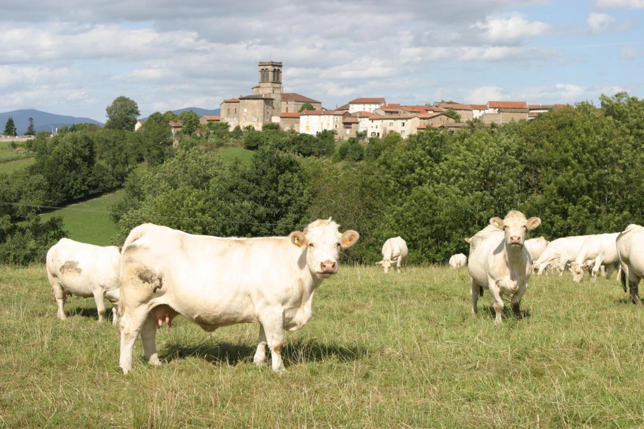 La Paresse En Douce Bed & Breakfast Tours-Sur-Meymont Exterior photo